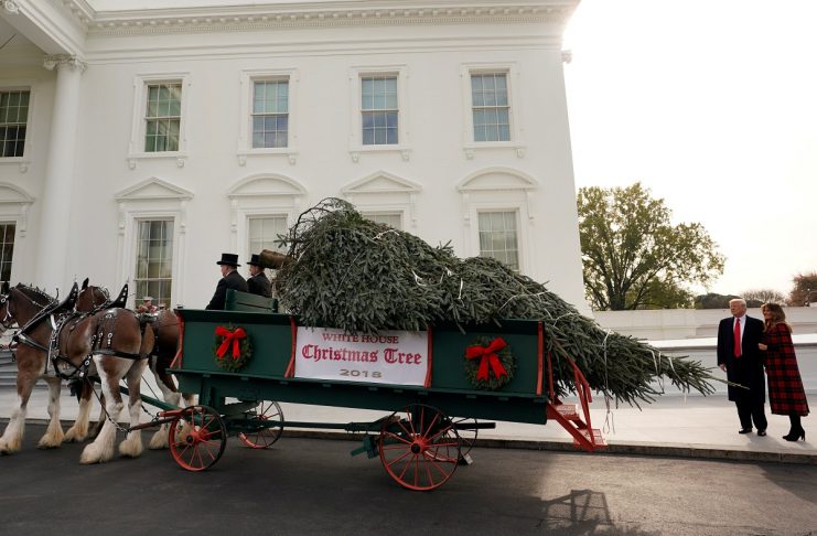 Christmas tree arrives at the White House in Washington