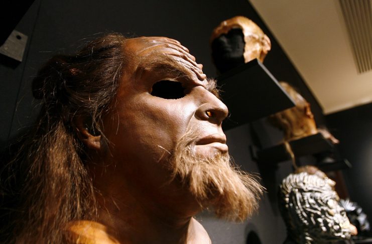 A Klingon mask sits on display during preview of “40 Years of Star Trek: The Collection” in New York