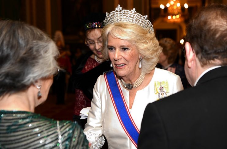 Britain’s Camilla, The Duchess of Cornwall, talks to guests at an evening reception for members of the Diplomatic Corps at Buckingham Palace in London
