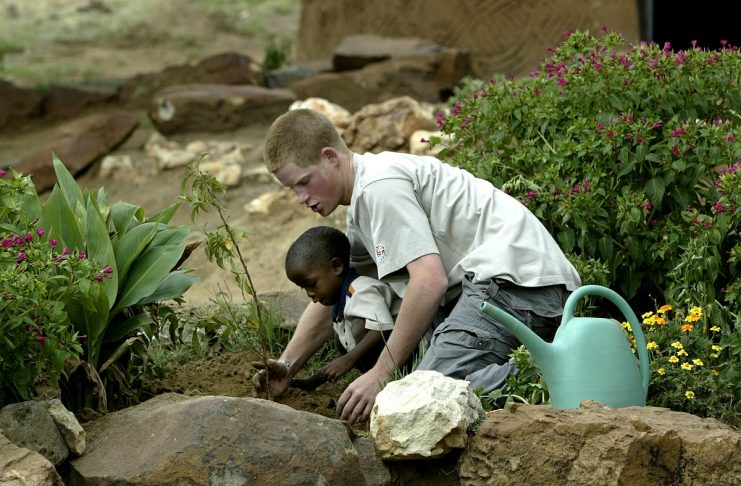 Britain’s Prince Harry plants a fruit tree with four-year-old Mutsu in the grounds of the Mants’Ase ..