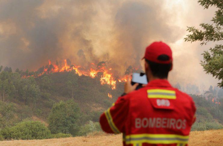 Incêndio florestal em Monchique