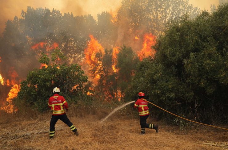 Incêndio florestal em Monchique