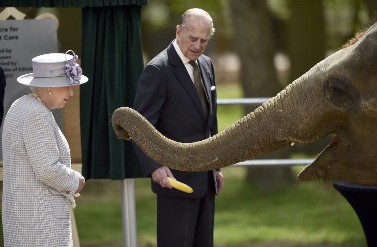 Britain’s Queen Elizabeth watches as Prince Philip feeds an elephant during a visit to Whipsnade Zoo where the Queen opened the new Centre for Elephant Care, in Dunstable